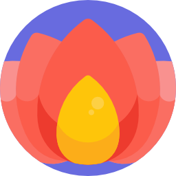 Lotus icon