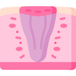 inflammation Icône