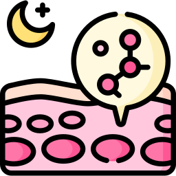 Night icon