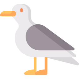 möwe icon