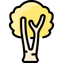 자작나무 icon