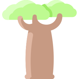 baobab icona
