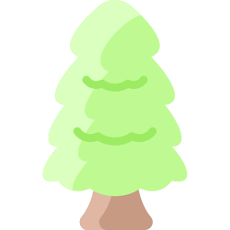 Cedar icon
