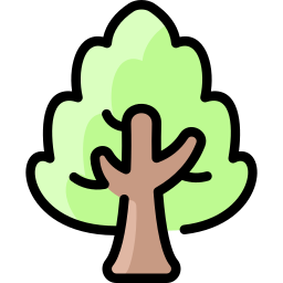 참피나무 icon