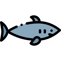 Shark icon