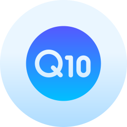 q10 Icône