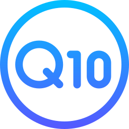 q10 иконка