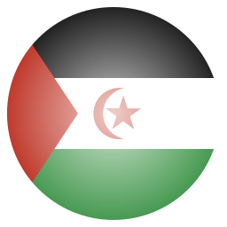 Flag icon