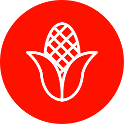 Corn icon