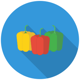 Fruit icon