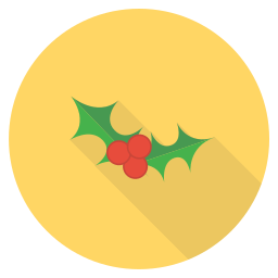 Berry icon