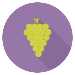 Fruit icon