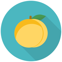 Fruit icon