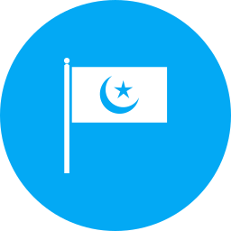 flagge icon