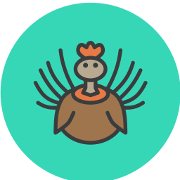 pavo icono