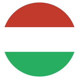 Flag icon