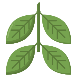 Leaf icon