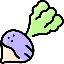 순무 icon