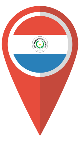 Map icon