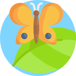 schmetterling icon