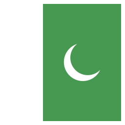 Flag icon