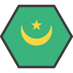 Flag icon