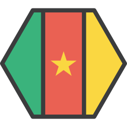 Flag icon