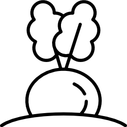 barbabietola icona