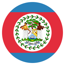 bandera icono