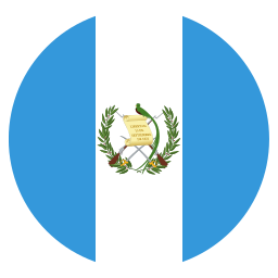 bandera icono