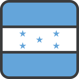 Flag icon