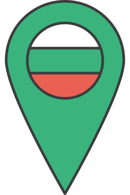 Flag icon