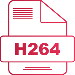 h264 icoon