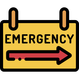 Emergency sign icon