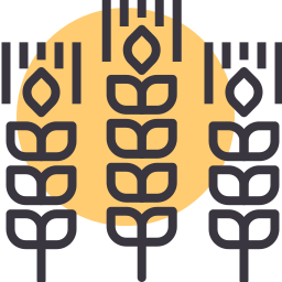 Wheat icon