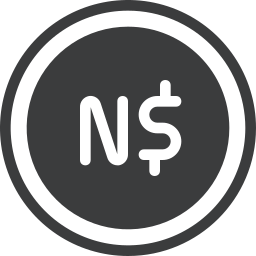 dollar icon