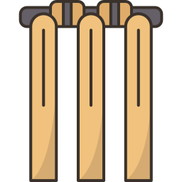 Wicket icon