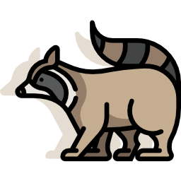 waschbär icon