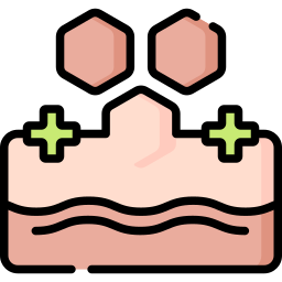 Skin regeneration icon
