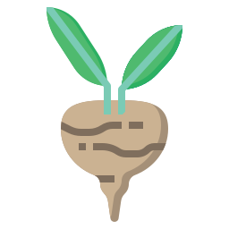 Radish icon