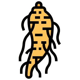 ginseng icon