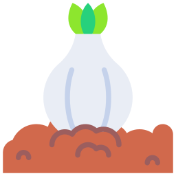 Garlic icon