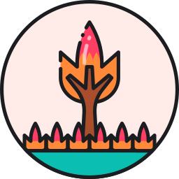 Fire icon