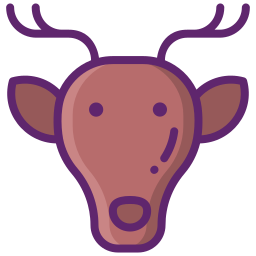 Animal icon