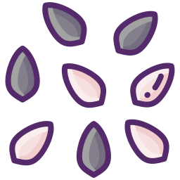 Seed icon