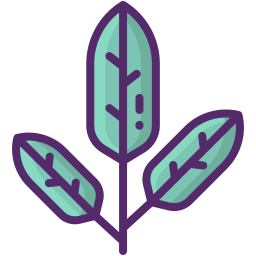 Leaf icon