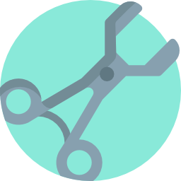 Speculum icon