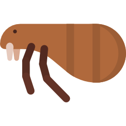 pulga Ícone