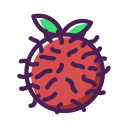 Rambutan icon