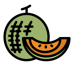 Melon icon